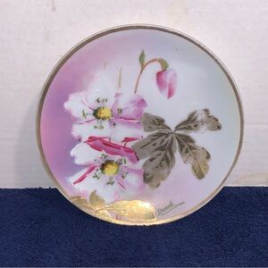 Rosa Canina (Dog Rose) Imperial Austria Floral 6” Plate by Renee' Hand Painted